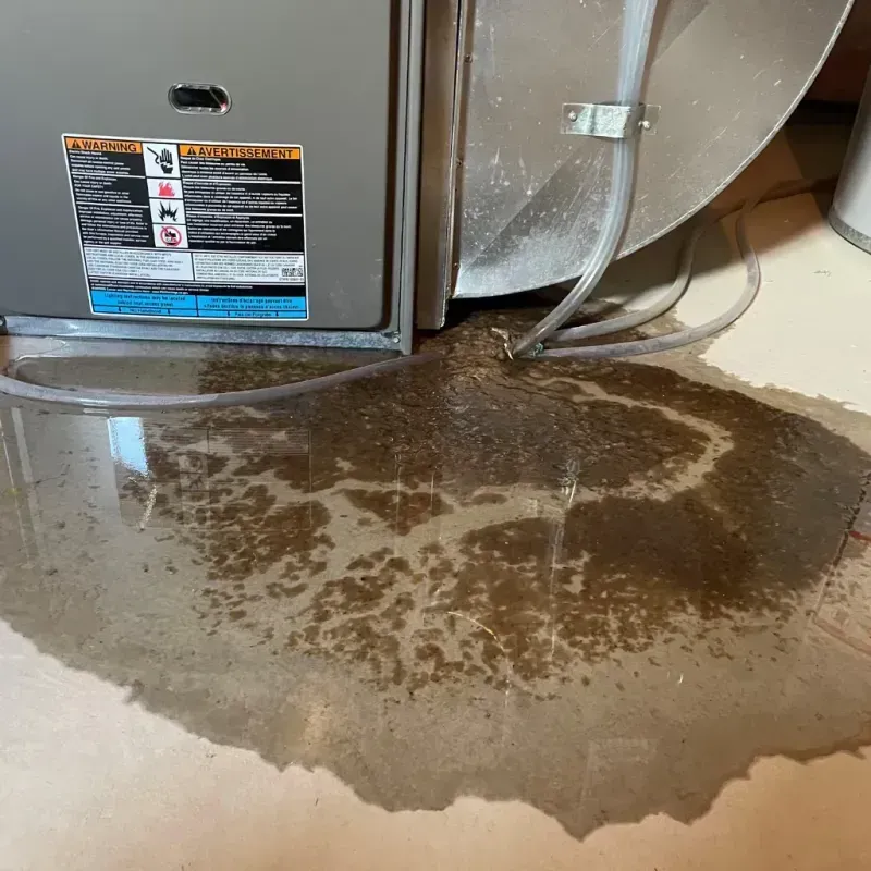 Appliance Leak Cleanup in Rome, GA